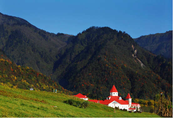 1539939484379002211.png image.png