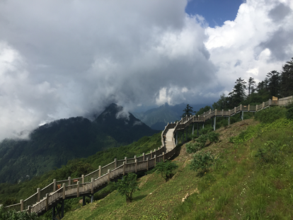 1539940040413084354.png image.png