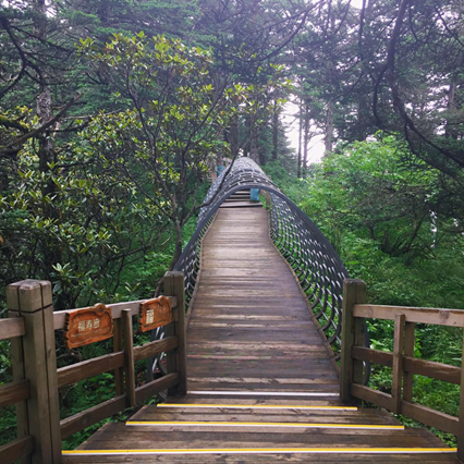 1539940050432069346.png image.png