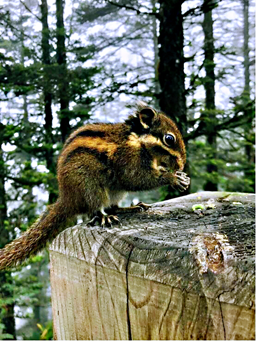 1539940070293083361.png image.png