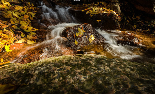 1539940675277044138.png image.png