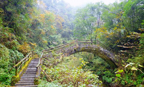 1539940715828068201.png image.png