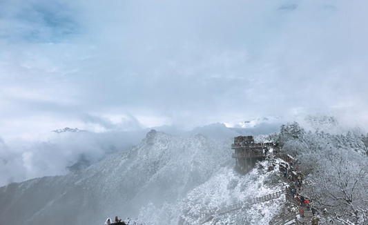 1539940780319051566.png image.png