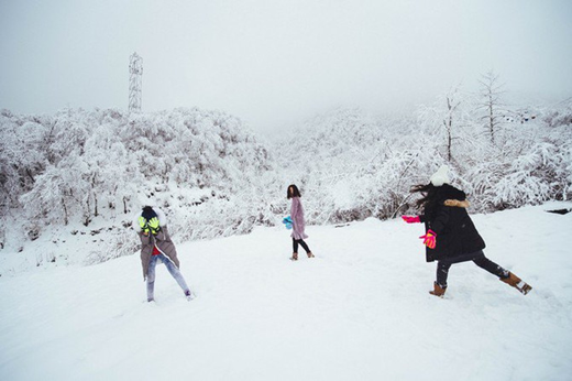 1539940806591073516.png image.png