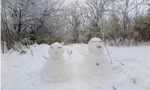 1539940815453014330.png image.png