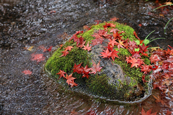 1540539782256009212.png image.png