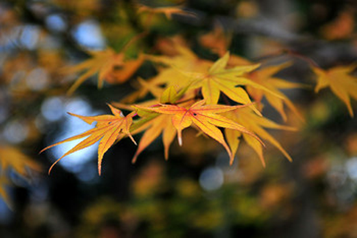 1540539894006042305.png image.png