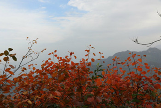 1540540191709034861.png image.png