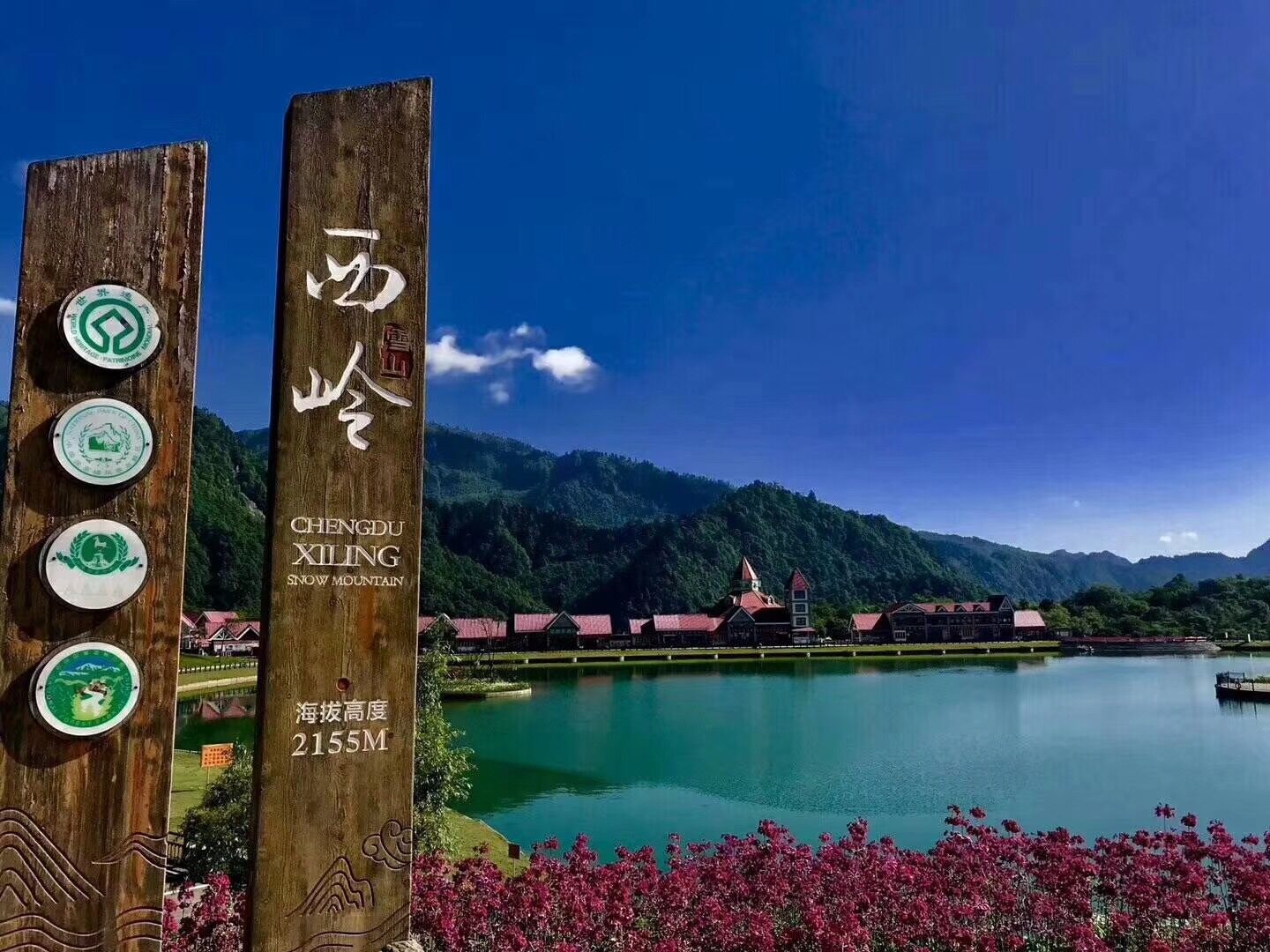 報春花開 美麗自來