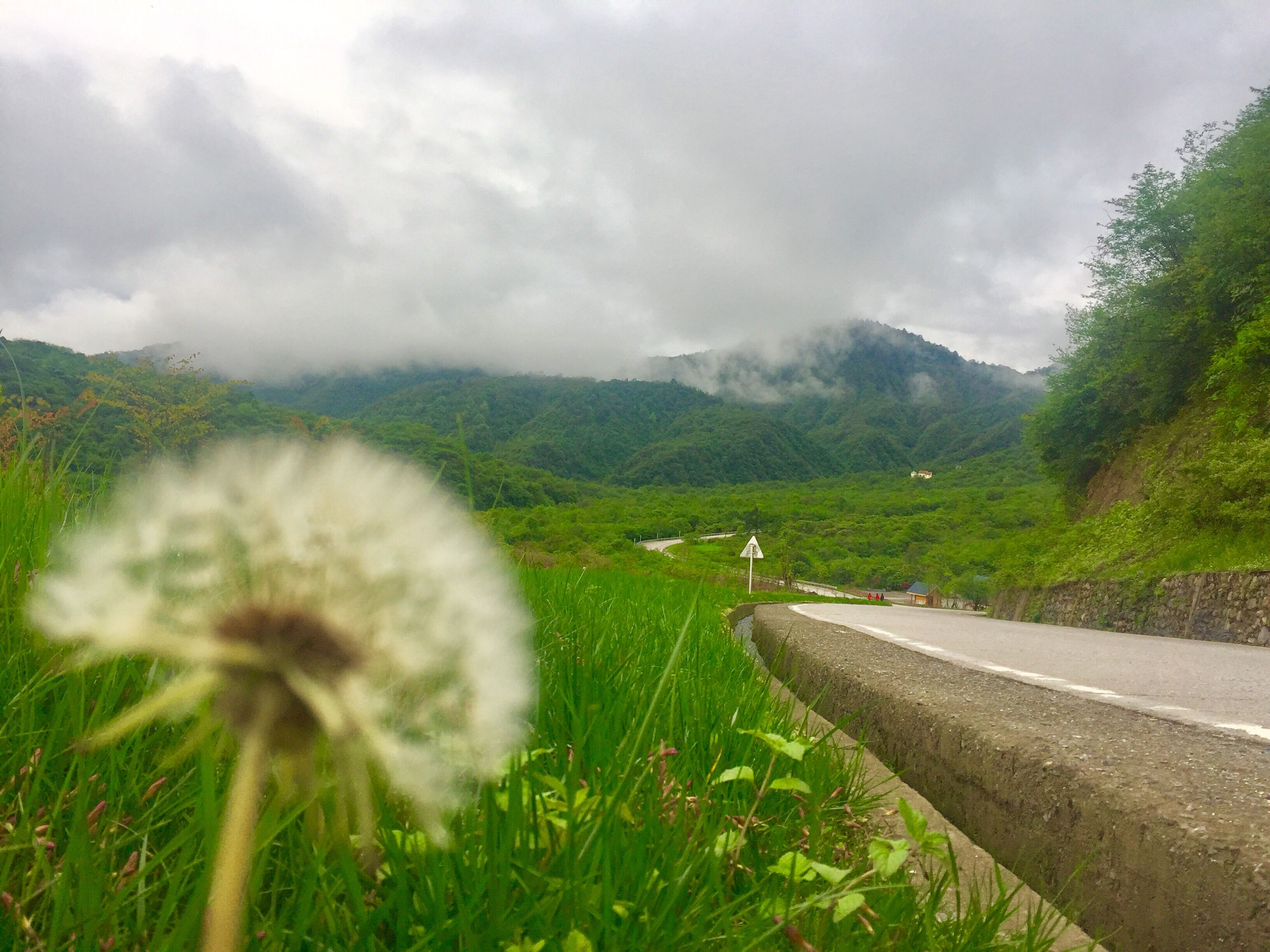 春夏的西嶺仍然值得一去