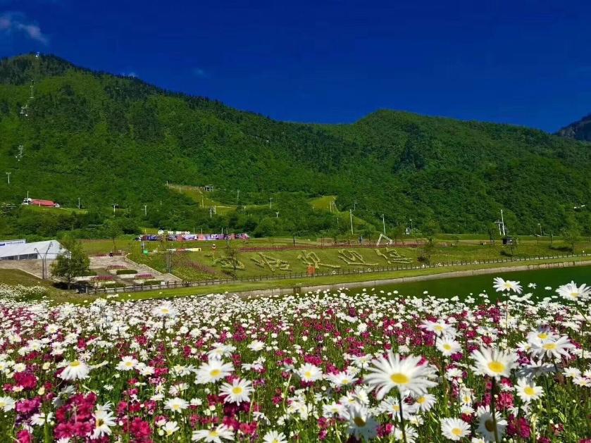 報春花開 美麗自來