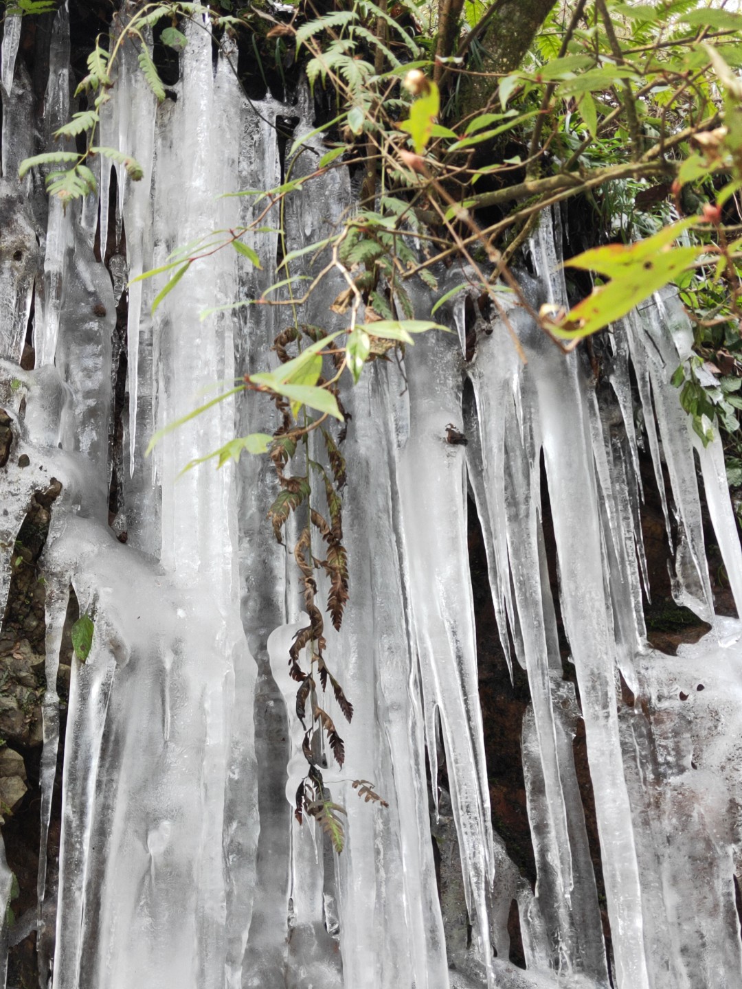 無(wú)法凝固的春色